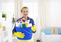 greenwich domestic cleaning quote
